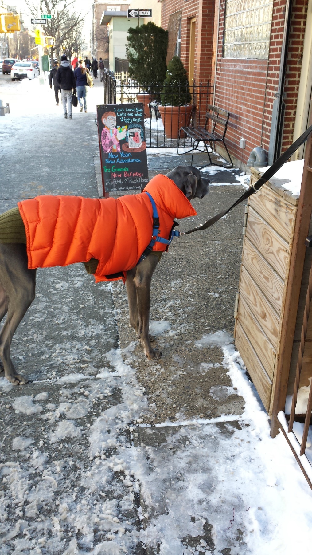 I was trying to find a picture of snow to show them.