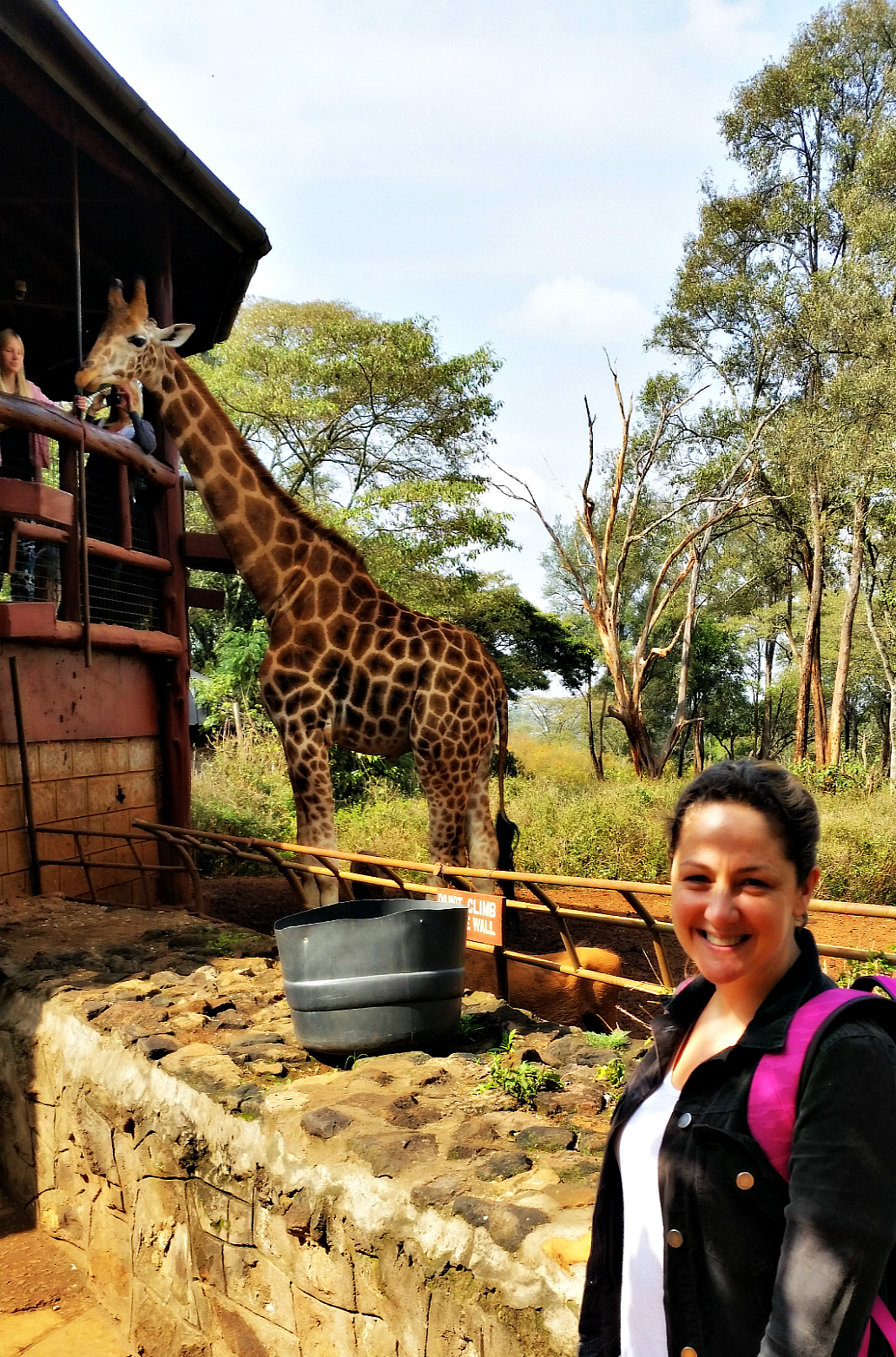 Jen giraffe crop 20140713_100736.jpg