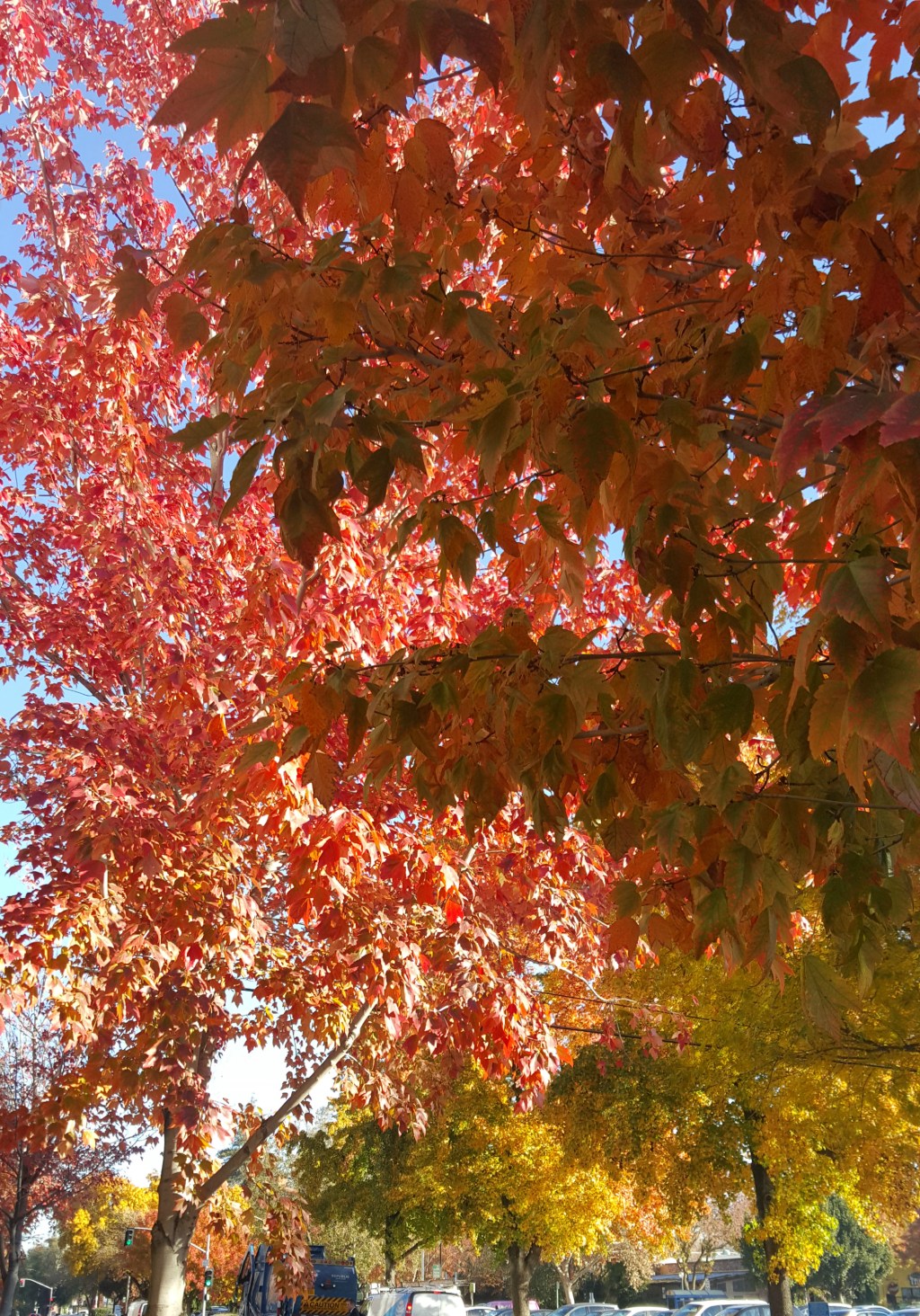 Grief in all its miserable&nbsp;forms