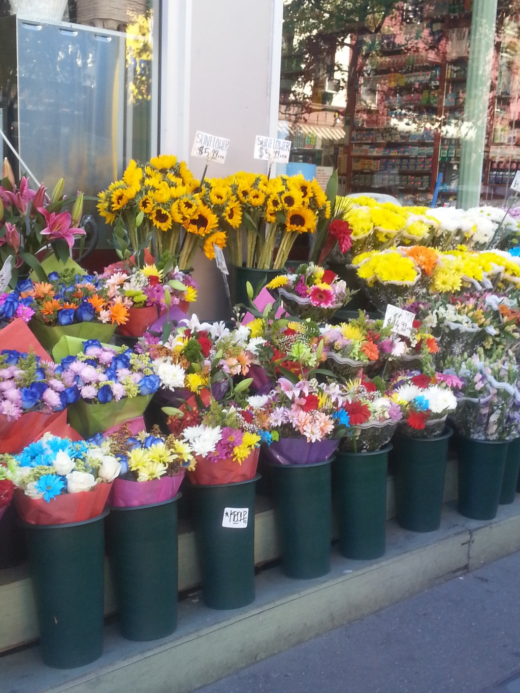 NYC is full of&nbsp;surprises